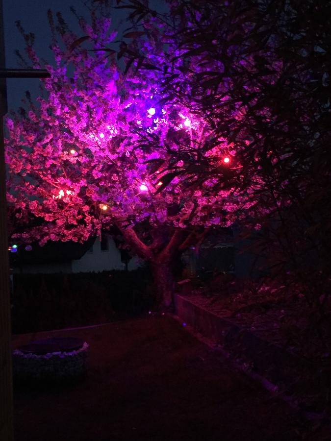 Chez Sven - Studio 'Le Grand' Lohn-Ammannsegg Εξωτερικό φωτογραφία